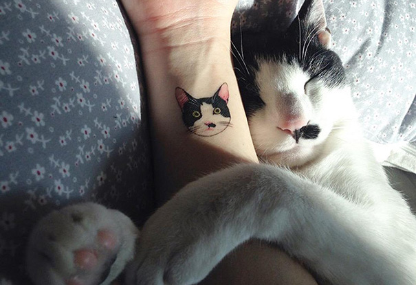 тату кошка